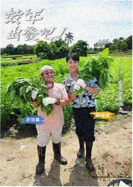 田野厨房 美食纪实综艺在线观看